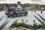 Audi Q5 TFSI Quattro 2016 года (WW)